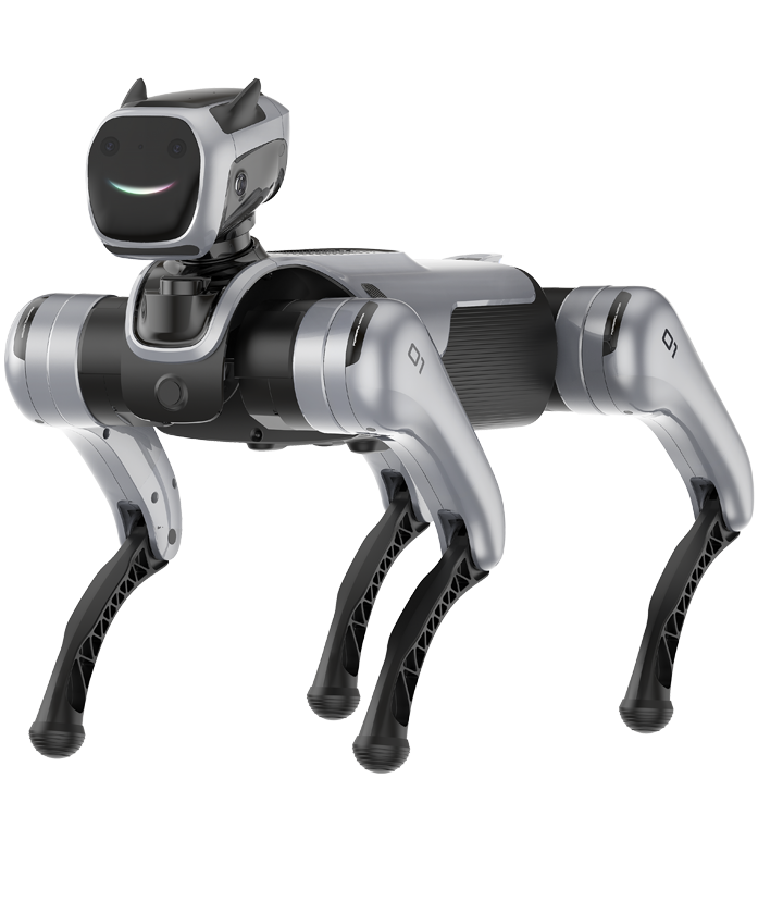 MagicLab MagicDog functional features, official manufacturer illustration